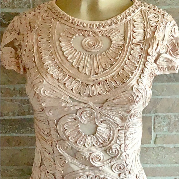 JS Collections Blush Soutache Dress - Picture 4 of 6